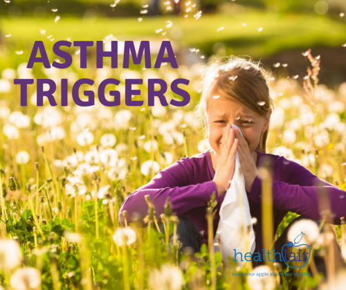 Asthma Triggers and Causes Of Asthma Attacks | HealthLair